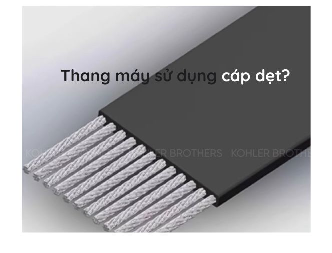 Thang máy sử dụng cáp dẹt